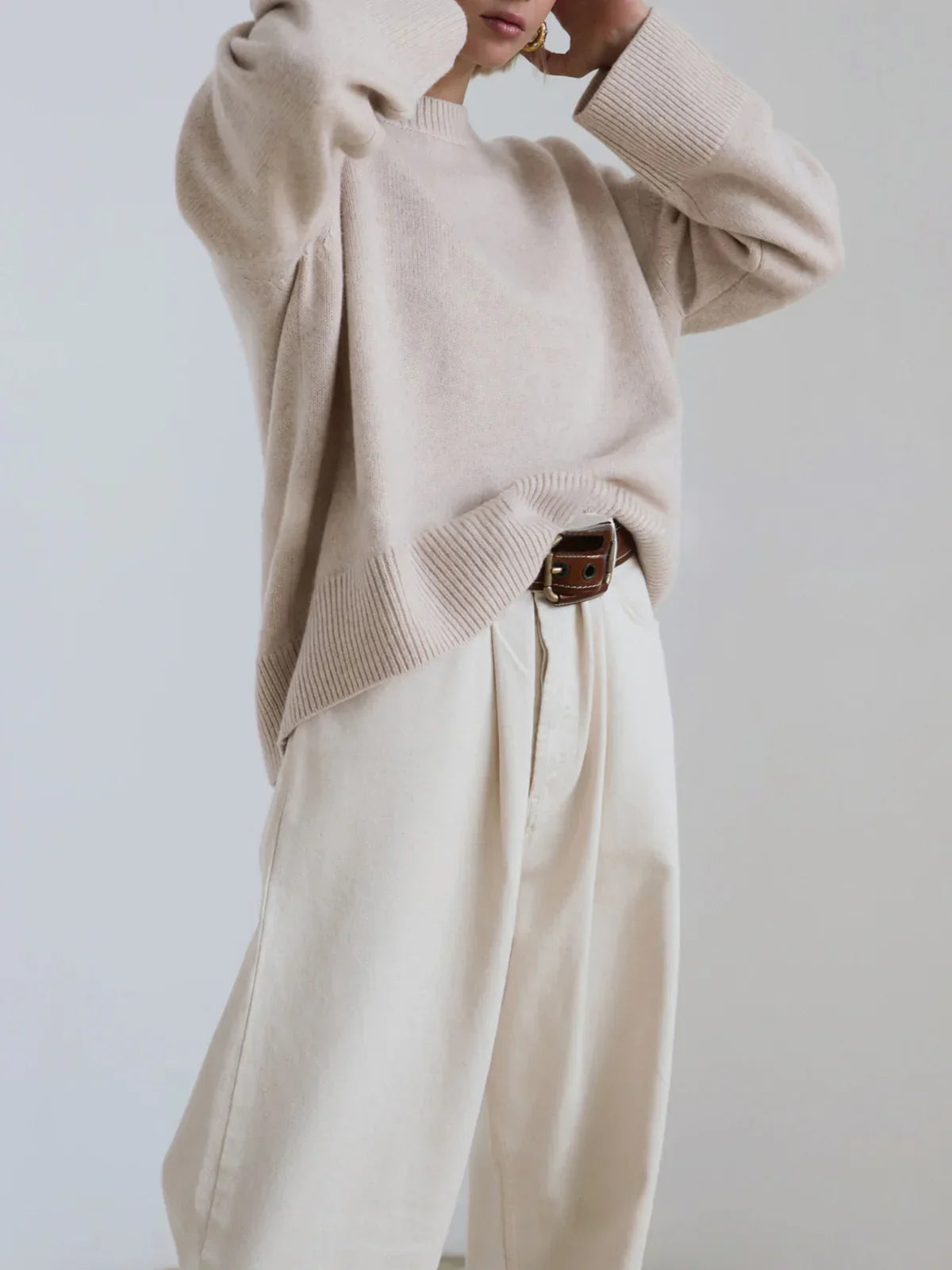 Elegant Winter Look - 2