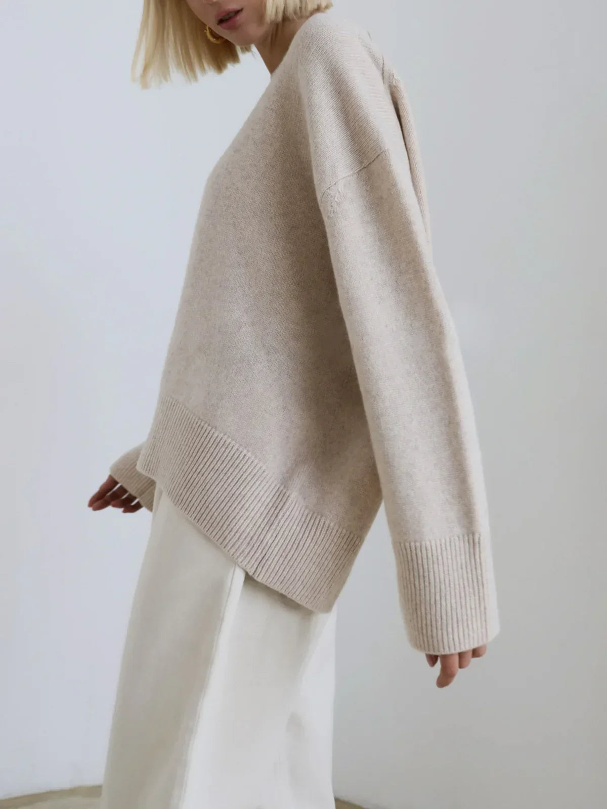 Elegant Winter Look - 2