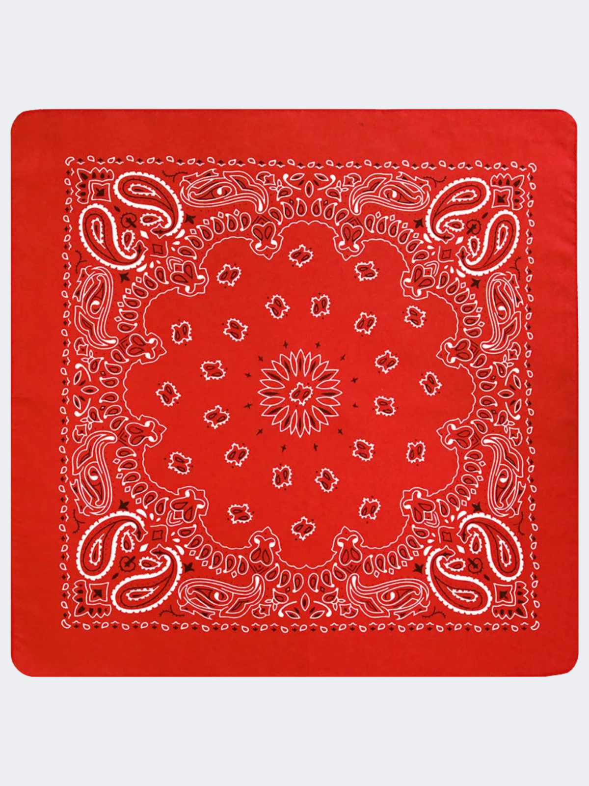 Classic Paisley Square Bandana Scarf