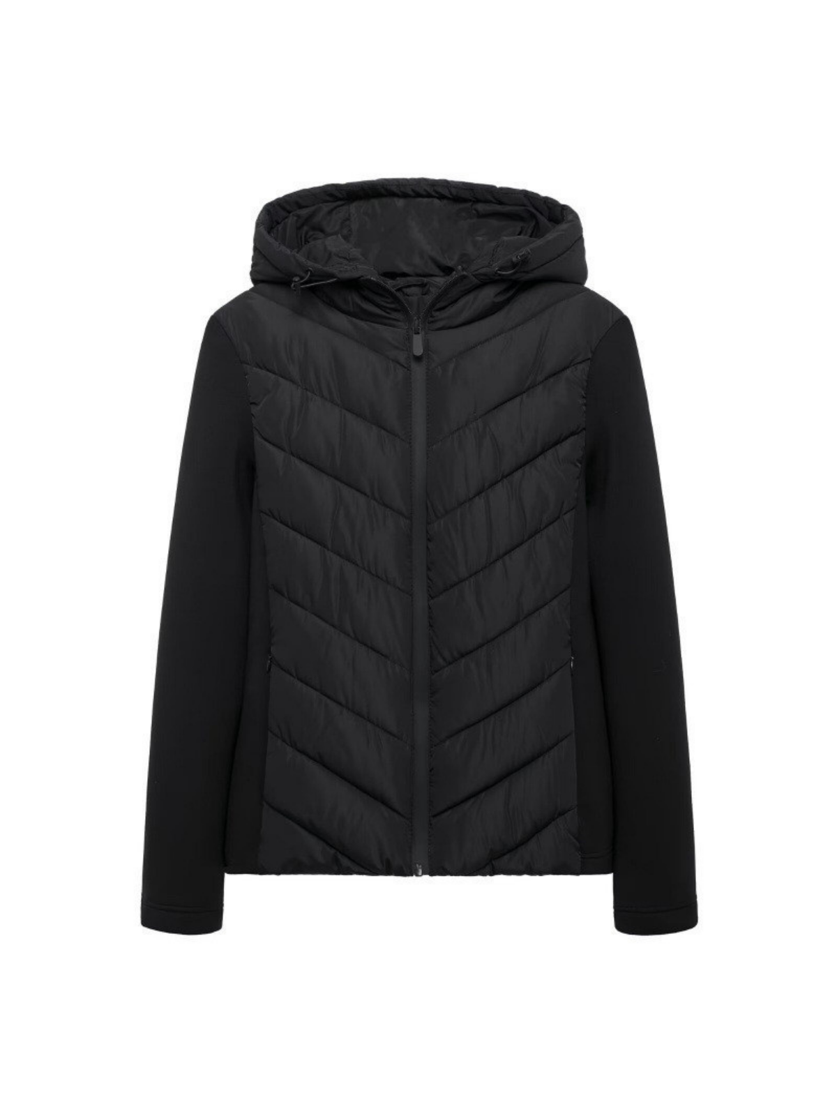 Cotton Padded Coat With Stand Up Collar For Casual Wear