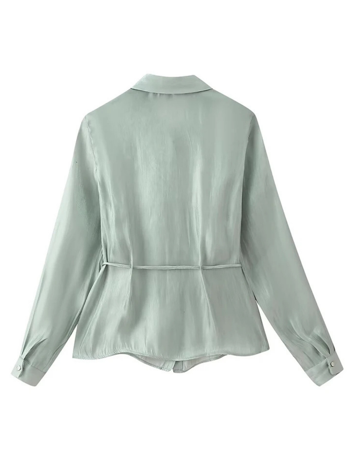 Lapel Collar Semi Sheer Blouse